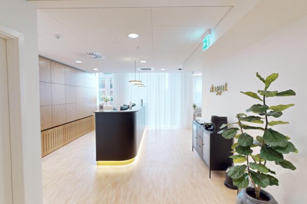 Moderne kontorreception med mørk skranke, træpaneler og grøn plante